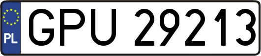 GPU29213