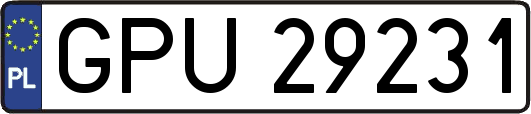GPU29231