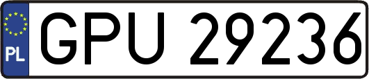GPU29236
