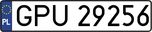 GPU29256