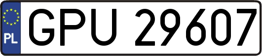 GPU29607