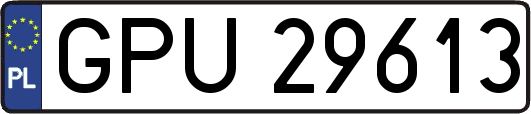 GPU29613