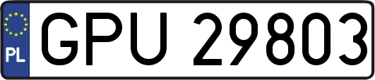 GPU29803