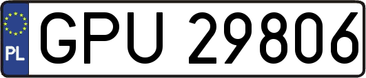 GPU29806