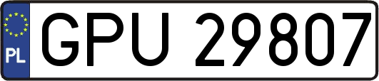 GPU29807