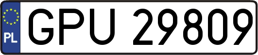 GPU29809