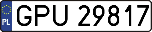 GPU29817