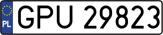 GPU29823
