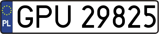 GPU29825