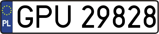 GPU29828