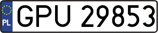 GPU29853