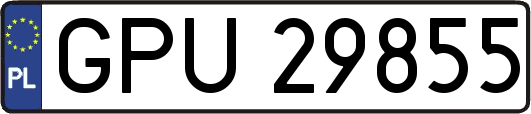 GPU29855