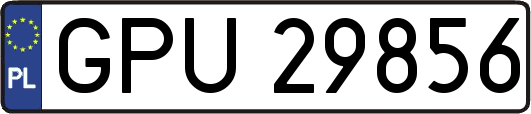 GPU29856