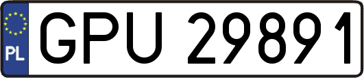 GPU29891