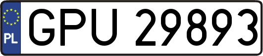 GPU29893
