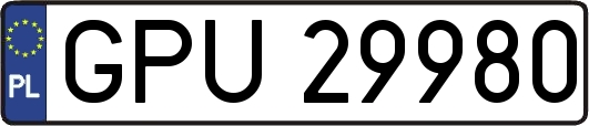 GPU29980