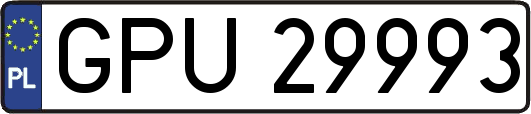 GPU29993