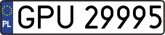 GPU29995