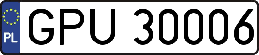 GPU30006