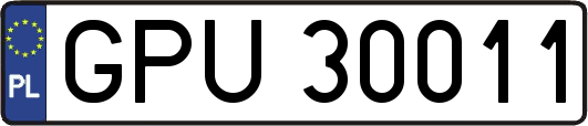 GPU30011