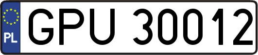 GPU30012
