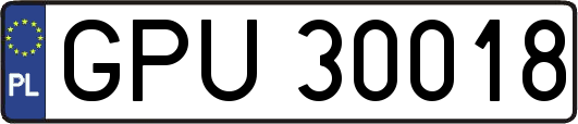 GPU30018