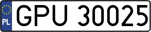 GPU30025