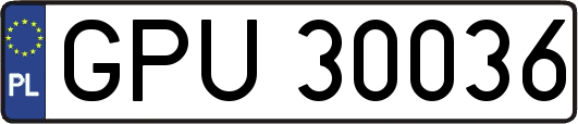 GPU30036