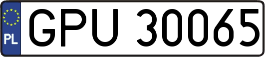 GPU30065