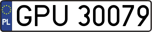 GPU30079