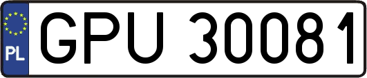 GPU30081