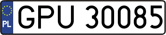 GPU30085