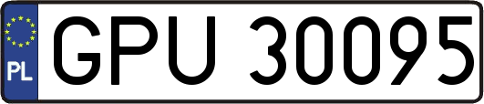 GPU30095