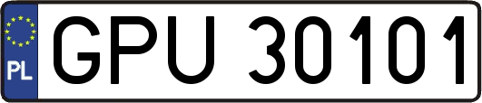 GPU30101