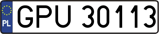 GPU30113