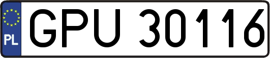 GPU30116