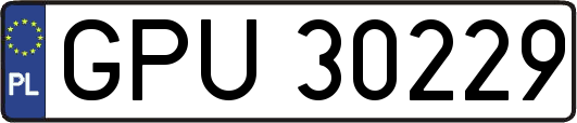 GPU30229