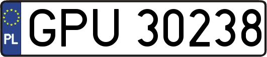 GPU30238