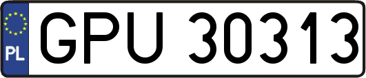 GPU30313