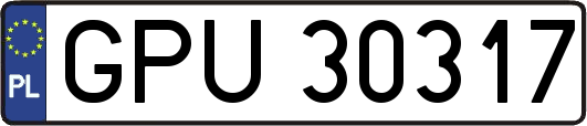 GPU30317