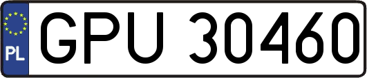 GPU30460