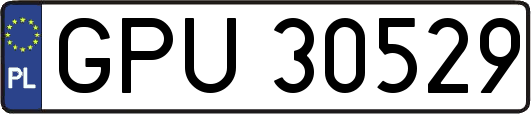 GPU30529