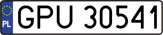 GPU30541
