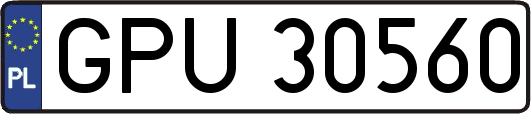 GPU30560