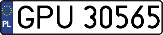 GPU30565