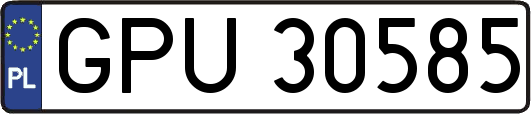 GPU30585