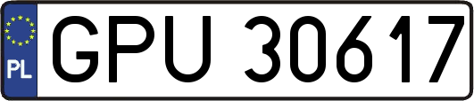 GPU30617