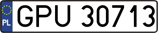 GPU30713
