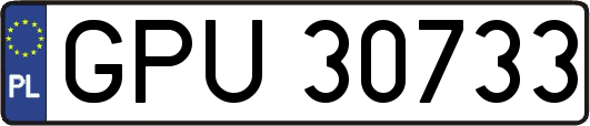 GPU30733