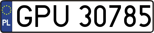 GPU30785